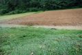 Podtopienia w Błażkowej