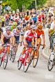 Tour de Pologne na ulicach Jasła
