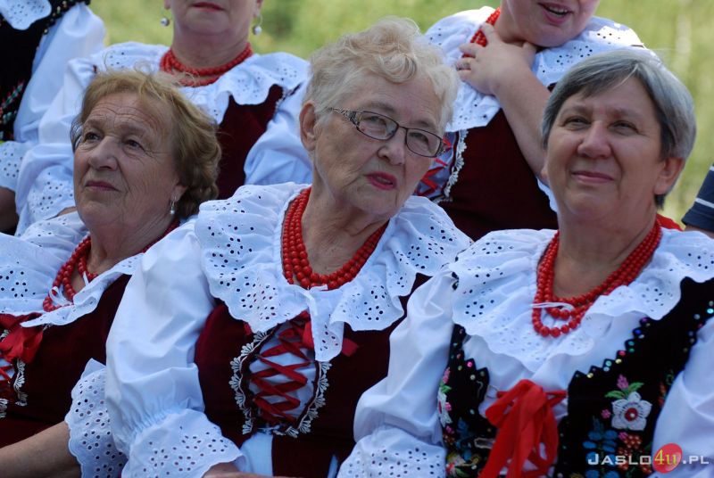 V Podkarpacki Festiwal Kultury Ludowej w Gogołowie