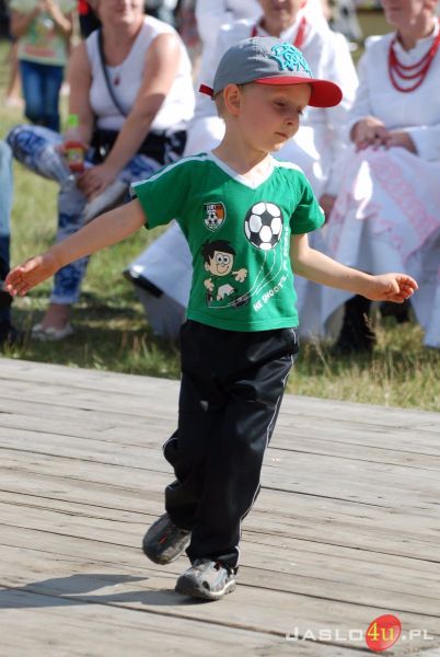 V Podkarpacki Festiwal Kultury Ludowej w Gogołowie