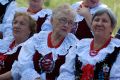V Podkarpacki Festiwal Kultury Ludowej w Gogołowie
