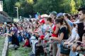 VI Karpacki Festiwal Archeologiczny w Trzcinicy