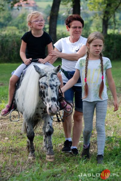 Charytatywny Piknik Rodzinny w Sobniowie na rzecz Jakuba Procanina