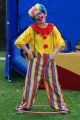 Charytatywny Piknik Rodzinny w Sobniowie na rzecz Jakuba Procanina