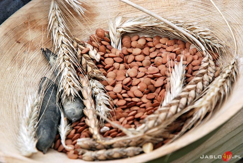 Warsztaty kuchni pradziejowej w Karpackiej Troi