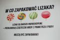 Dzień Dziecka w Muzeum Lizaka