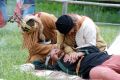 Starożytni podróżnicy w Karpackiej Troi