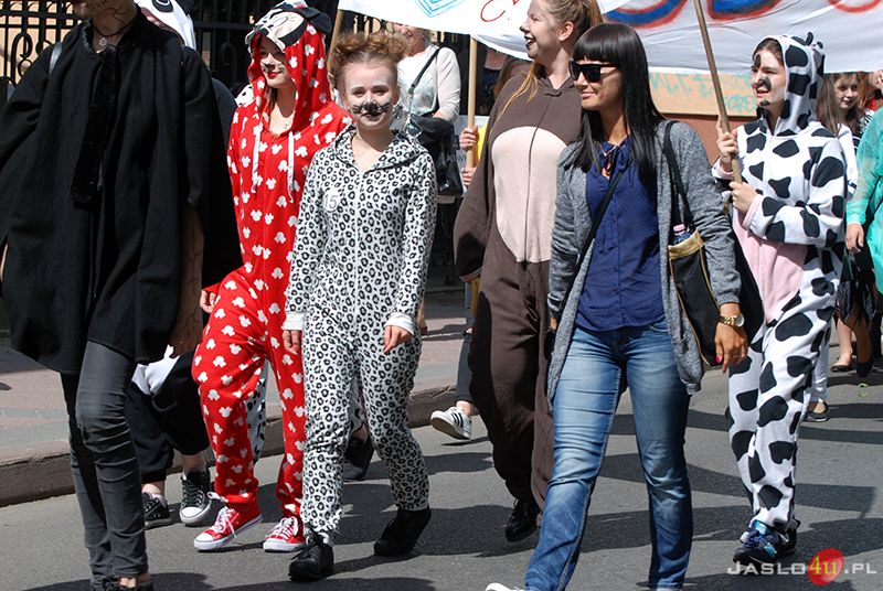 Żakinada 2017 w Jaśle