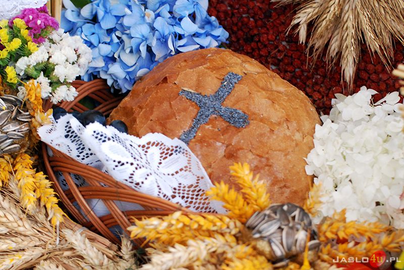 Dożynki Powiatowe w Brzyskach 2017 (zespoły ludowe)