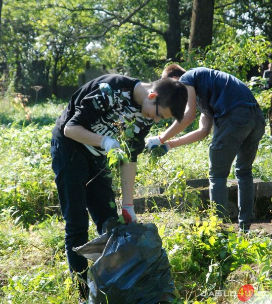 Sprzątanie cmentarza żydowskiego w Jaśle