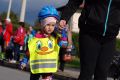 Run & Rollspeed Jasło 2017