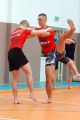 Seminarium z Iwoną Nierodą
