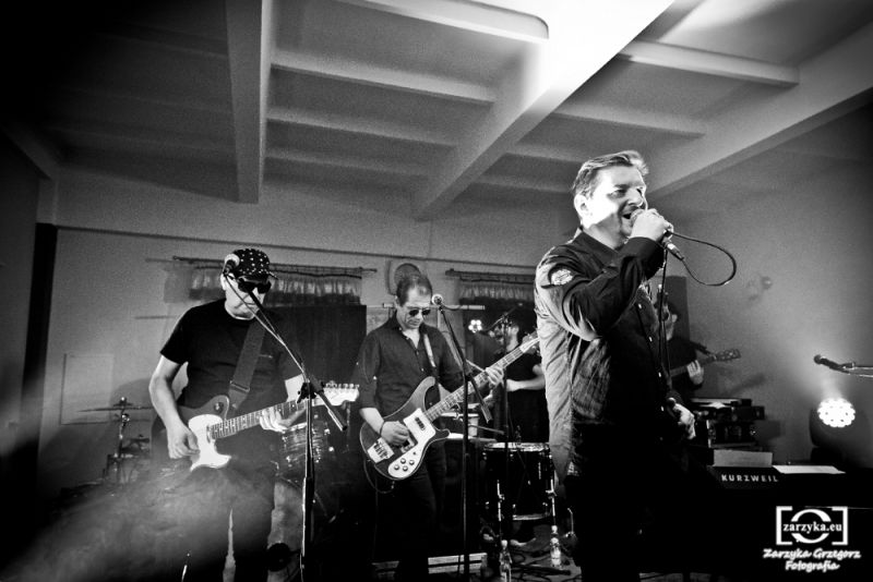 Koncert zespołu Sztywny Pal Azji