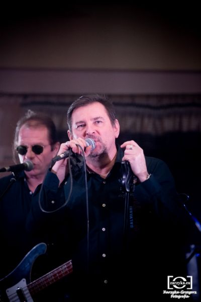 Koncert zespołu Sztywny Pal Azji