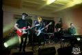 Koncert zespołu Sztywny Pal Azji