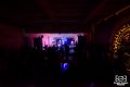 Koncert zespołu Sztywny Pal Azji
