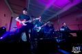 Koncert zespołu Sztywny Pal Azji