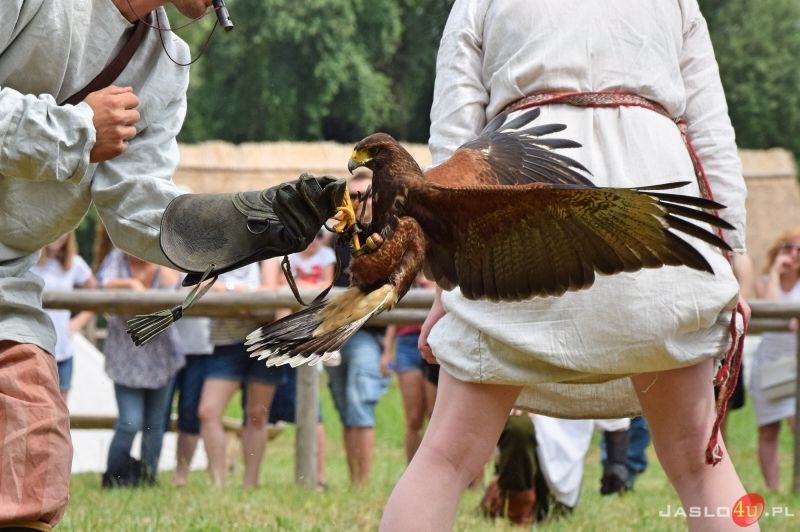 Normanowie "Waleczni potomkowie Wikingów"