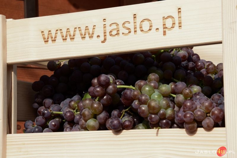 Dni Wina Jasło 2018