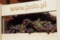 Dni Wina Jasło 2018