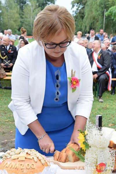 Dożynki Powiatowe 2018