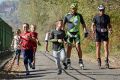 Run & Rollspeed Jasło 2018