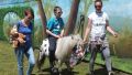 Piknik w Specjalnym Ośrodku Szkolno-Wychowawczym w Jaśle
