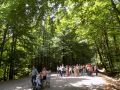 Uczniowie SOSW na I Beskidzkim Rajdzie Godności