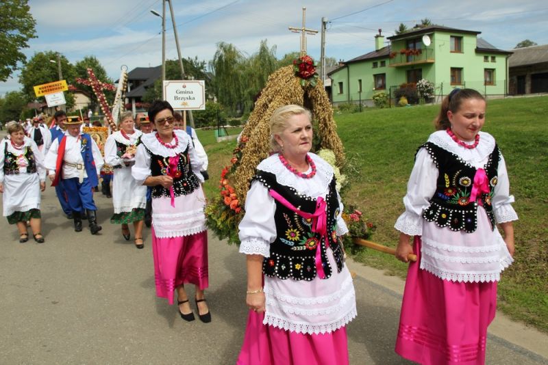 Dożynki Powiatowe 2019
