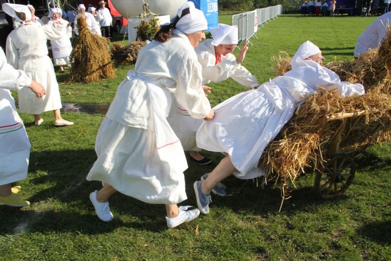 Dożynki Powiatowe 2019