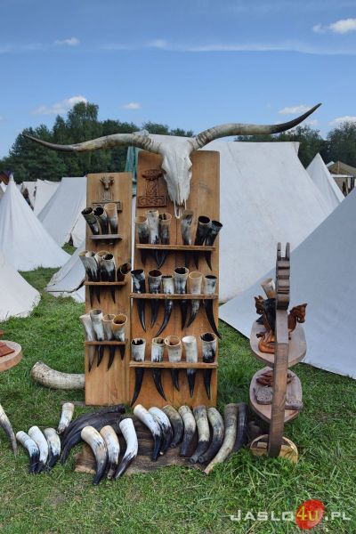 IX Karpacki Festiwal Archeologiczny "Dwa Oblicza" 2019 (sobota)