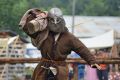 IX Karpacki Festiwal Archeologiczny "Dwa Oblicza" 2019 (sobota)