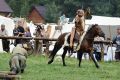 IX Karpacki Festiwal Archeologiczny "Dwa Oblicza" 2019 (niedziela)
