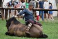 IX Karpacki Festiwal Archeologiczny "Dwa Oblicza" 2019 (niedziela)
