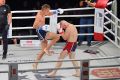 HFO: Spartan Night Jasło 2019