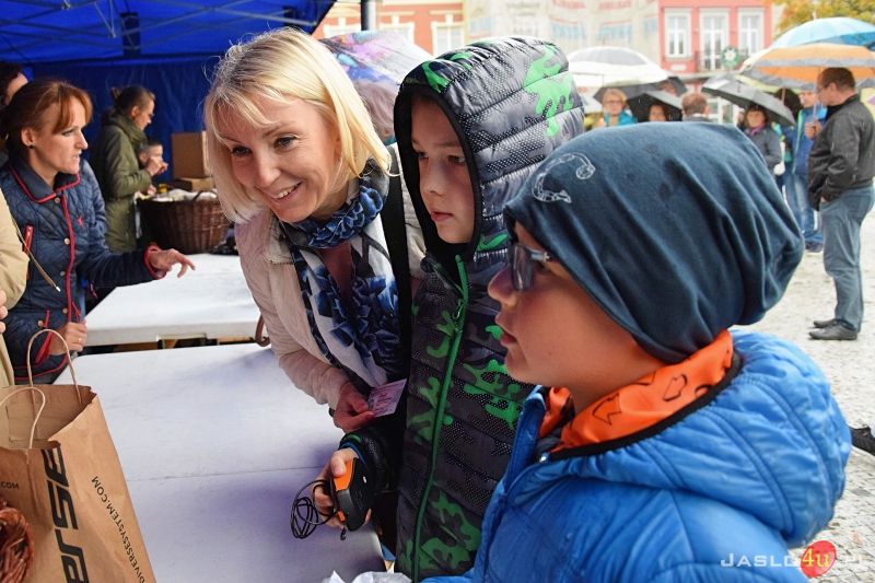 Jasło w Tulipanach 2019