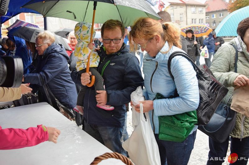 Jasło w Tulipanach 2019