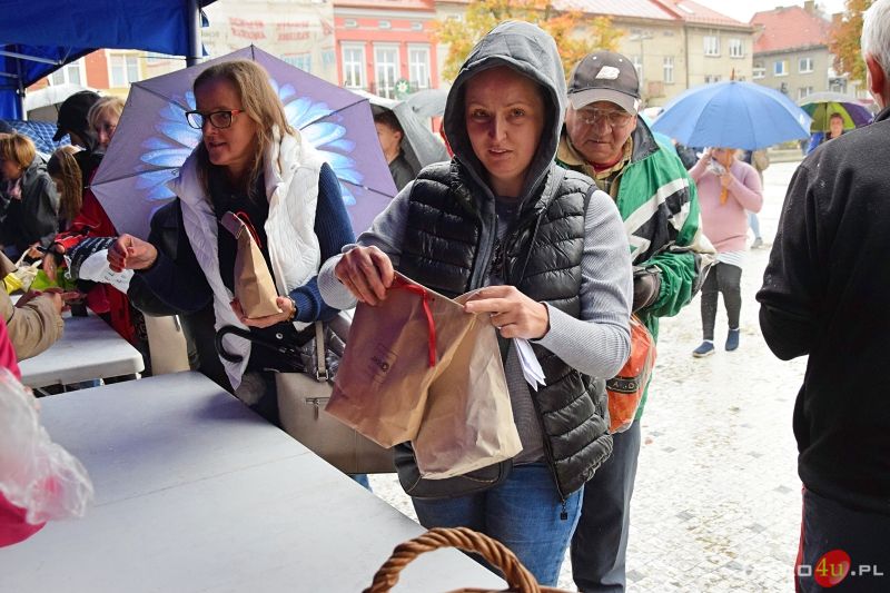 Jasło w Tulipanach 2019