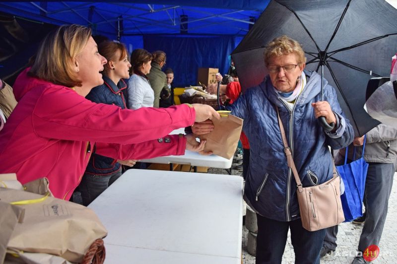 Jasło w Tulipanach 2019