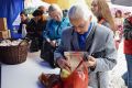 Jasło w Tulipanach 2019