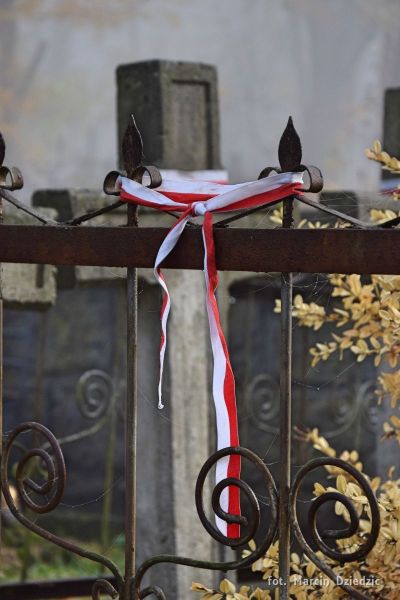 Akcja - Znicze na polskich grobach na ziemi lwowskiej (cmentarz Janowski i Wzgórza Wuleckie)