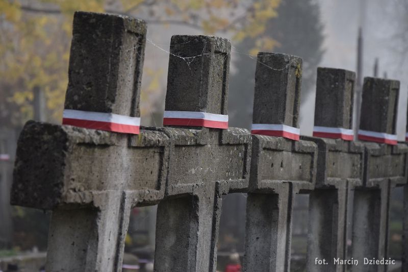 Akcja - Znicze na polskich grobach na ziemi lwowskiej (cmentarz Janowski i Wzgórza Wuleckie)