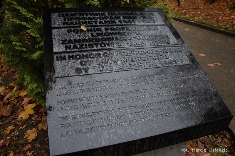 Akcja - Znicze na polskich grobach na ziemi lwowskiej (cmentarz Janowski i Wzgórza Wuleckie)