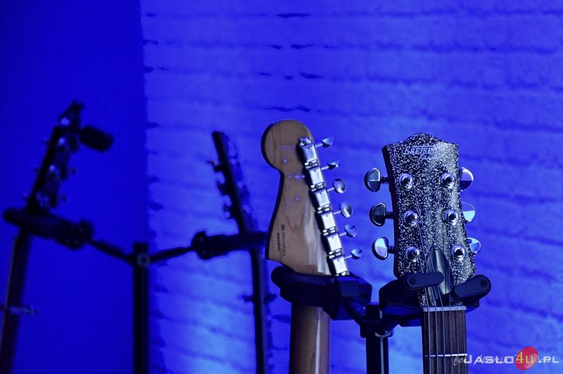 Koncert zespołu Limboski