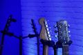 Koncert zespołu Limboski