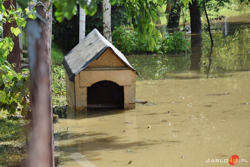 Katastrofalne skutki podtopień w powiecie jasielskim
