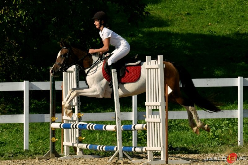 Grand Prix Jasła w Skokach Przez Przeszkody II Eliminacja