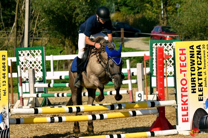 Grand Prix Jasła w Skokach Przez Przeszkody II Eliminacja