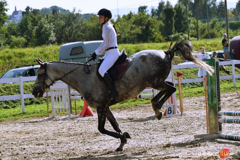 Grand Prix Jasła w Skokach Przez Przeszkody II Eliminacja