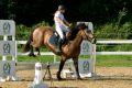 Grand Prix Jasła w Skokach Przez Przeszkody II Eliminacja